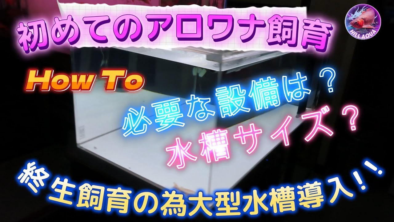 VOL 3　アロワナ飼育水槽サイズは？終生飼育に向けて大型水槽導入⁈