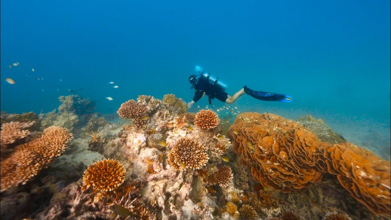 Conrad Maldives Is Now a PADI Eco Center