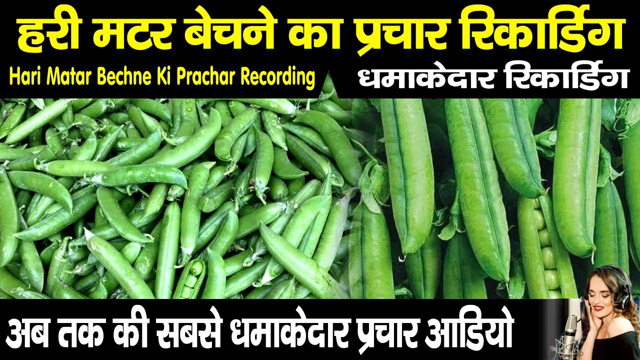 हरी मटर बेचने का प्रचार, Hari matar bechne ka prachar recording #rajastudiorecording