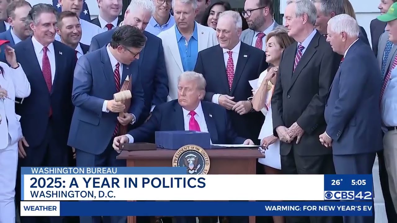 Reviewing the 2025 year in politics