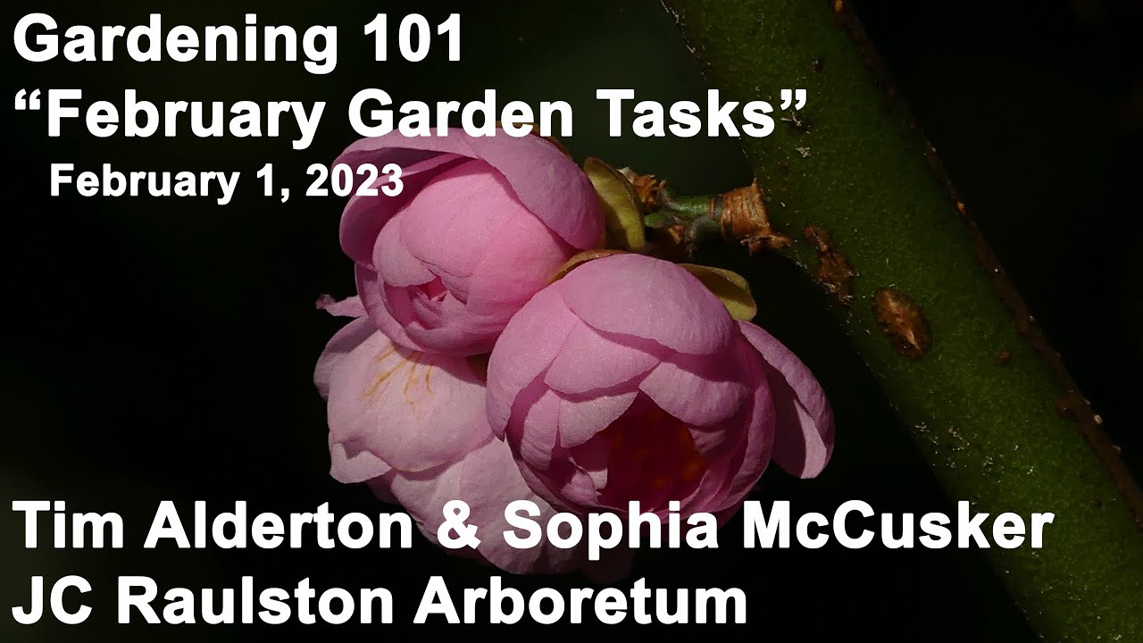 Gardening 101 - 