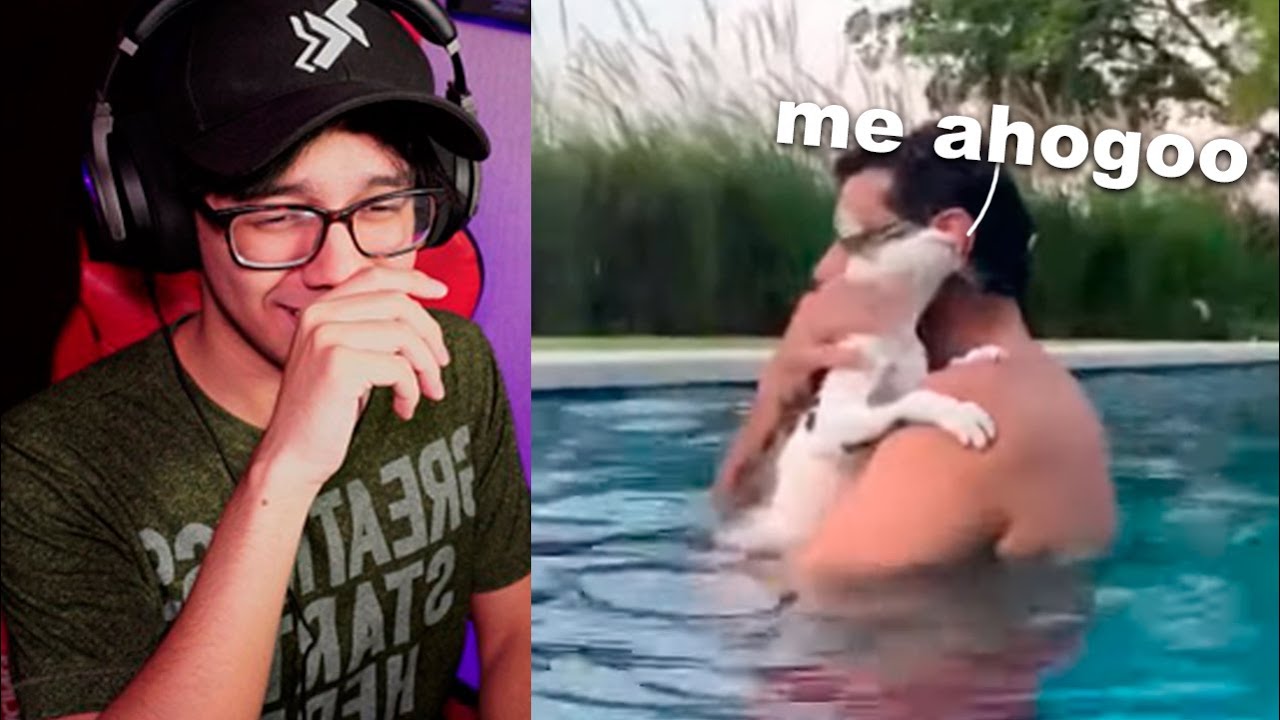 seguidores me pasan videos jaja