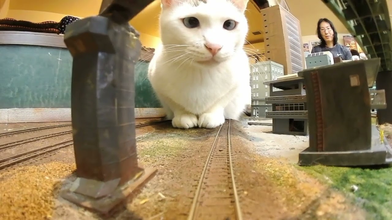 Why don't you get on the train to happiness today?