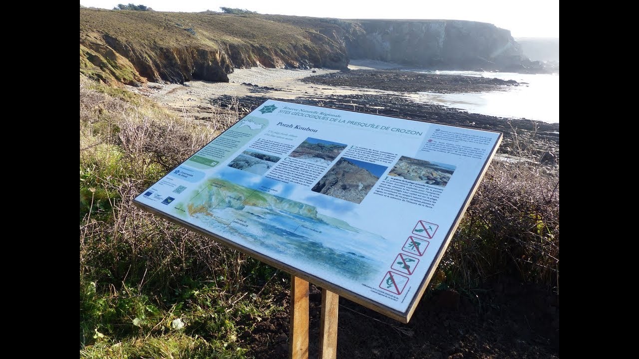 Brèves de nature de la Réserve naturelle de la presqu'île de Crozon n°11 : la Réserve naturelle