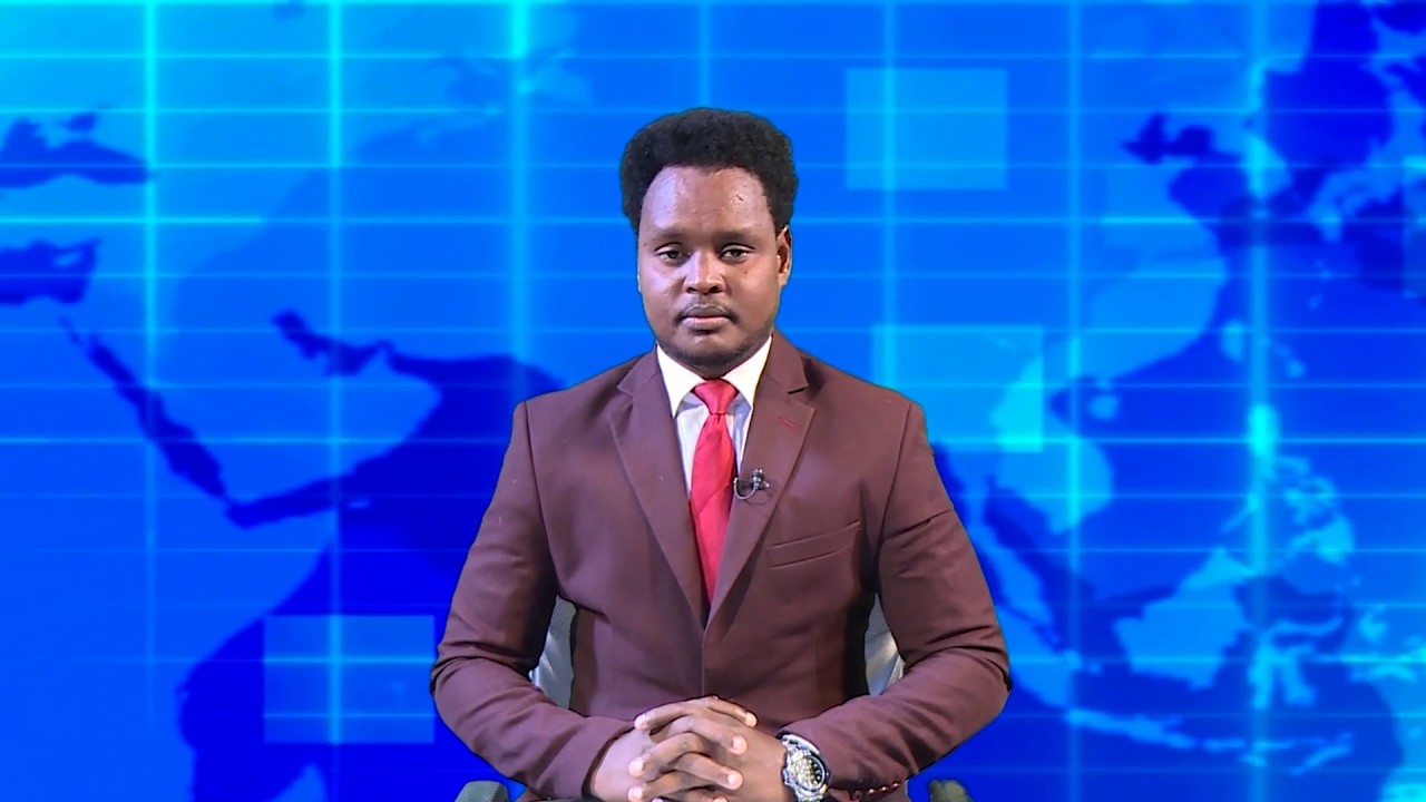 Warka Universal TV 12 02 2026