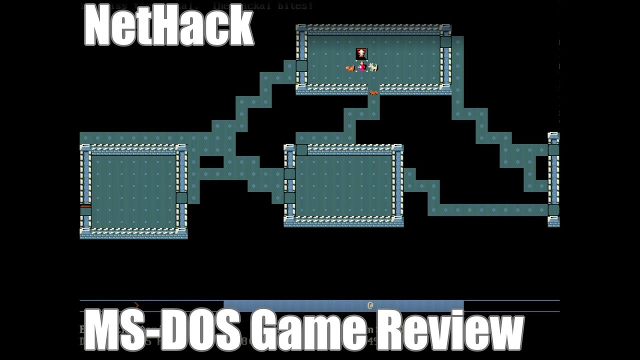 Nethack - 1987 - MS-DOS Game Review
