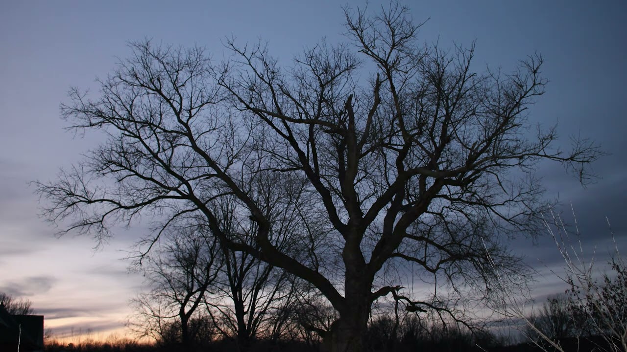 Time Lapse of the Sunset on Dec 04 2022 (SLOW VERSION FOR HC TURK)