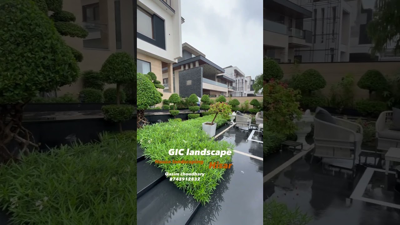 House landscaping 