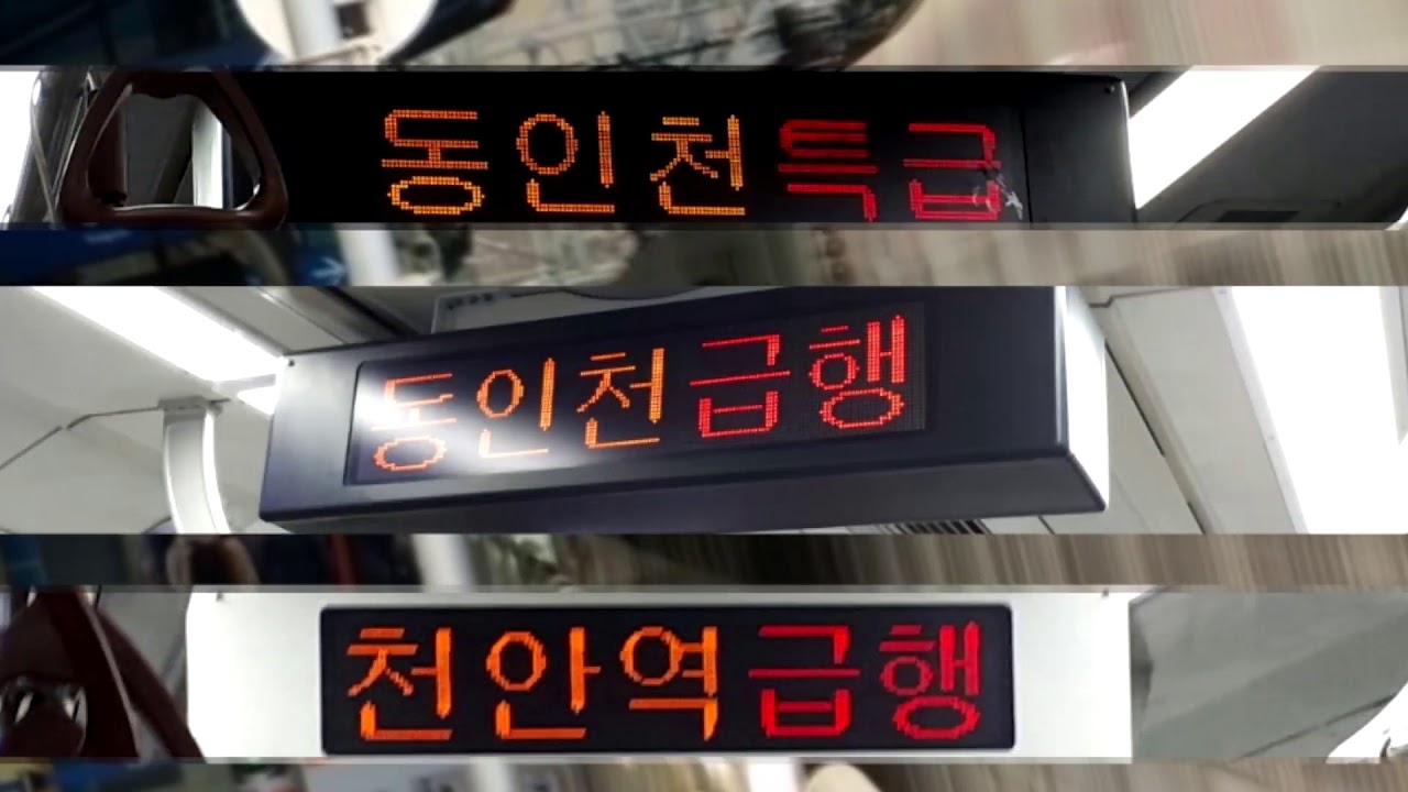 동쪽 나라의 잠들지 않는 山