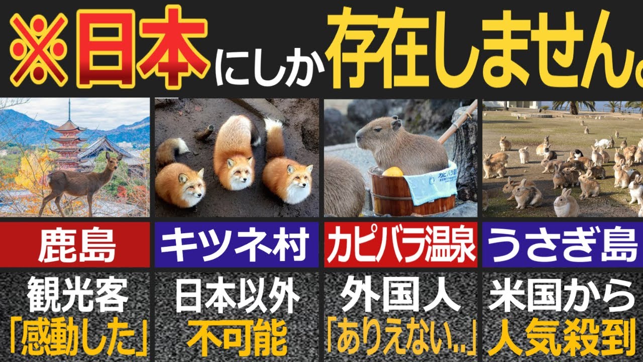 外国人を魅了した日本の動物楽園7選！【ゆっくり解説】【海外の反応】