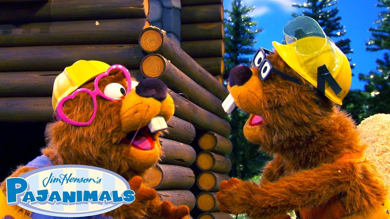 Building Things with Hank and Frank! | Pajanimals