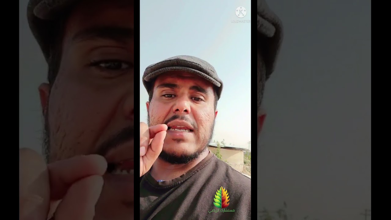 لاتشتري أي شتلة أو شجرة قبل مشاهدة الفيديو..