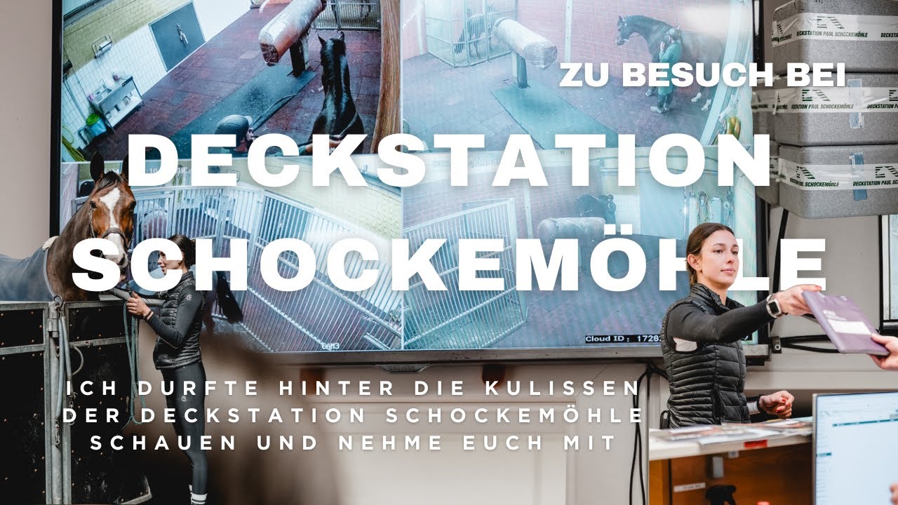 Einblicke in die Deckstation Schockemöhle – Absamung & Hengstwahl für meine Stute Emma 🐴❤️