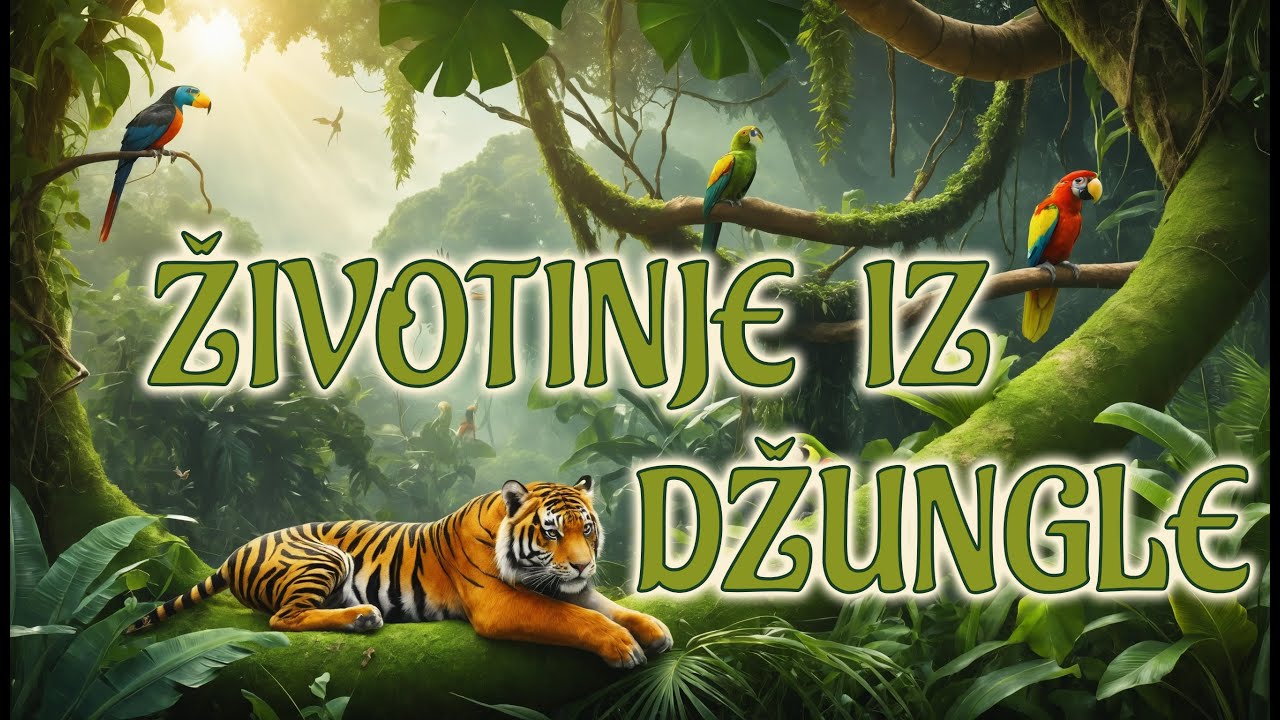 Životinje iz džungle 🐒🌴 | Upoznaj divlje životinje kroz zabavu i učenje! 🎓🧒