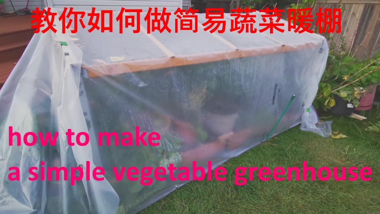 教你如何做简易蔬菜暖棚 （让你的蔬菜长的更快更好）-Step by step show you how to build a simple vegetable greenhouse(DIY shed)