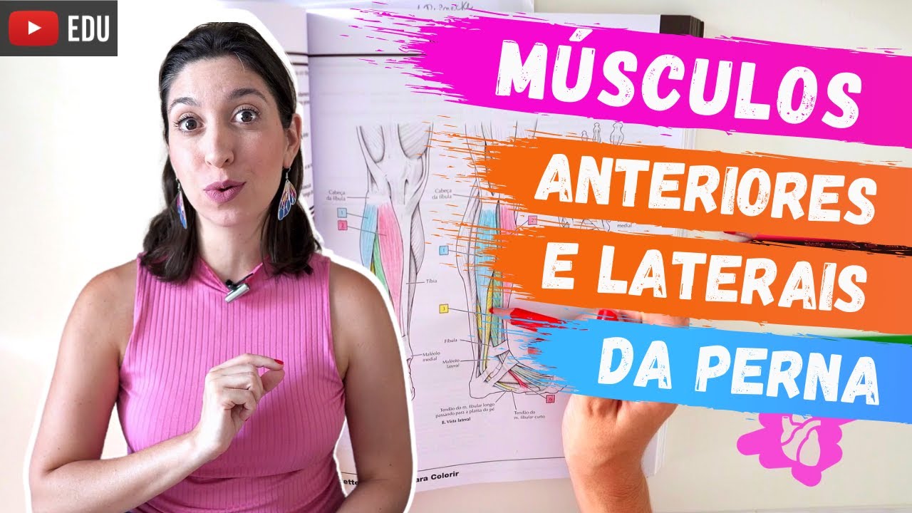 MÚSCULOS anteriores e laterais da PERNA: ANATOMIA para colorir!