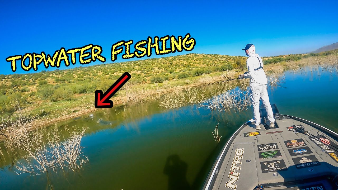 Fishing Topwater with Josh Bertrand at Roosevelt Lake ** Early Fall**
