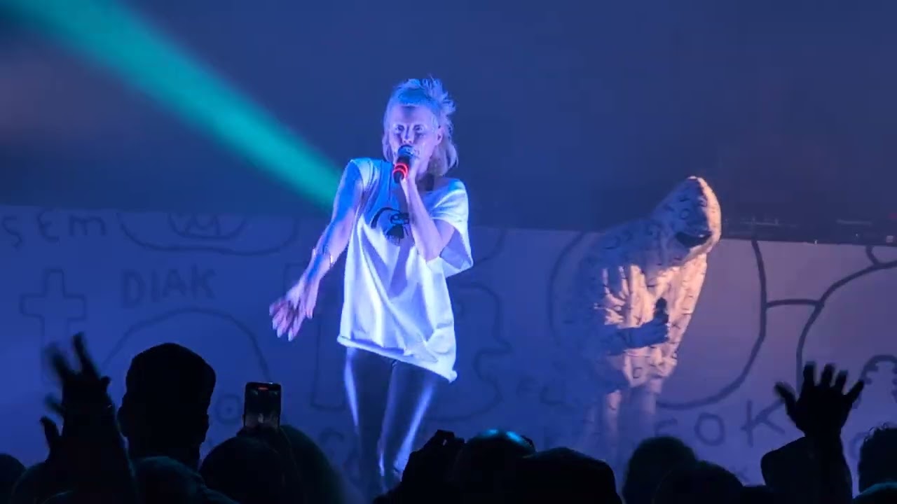 Die Antwoord - Pitbull Terrier : Live at The Masonic Theater, Detroit MI 2024