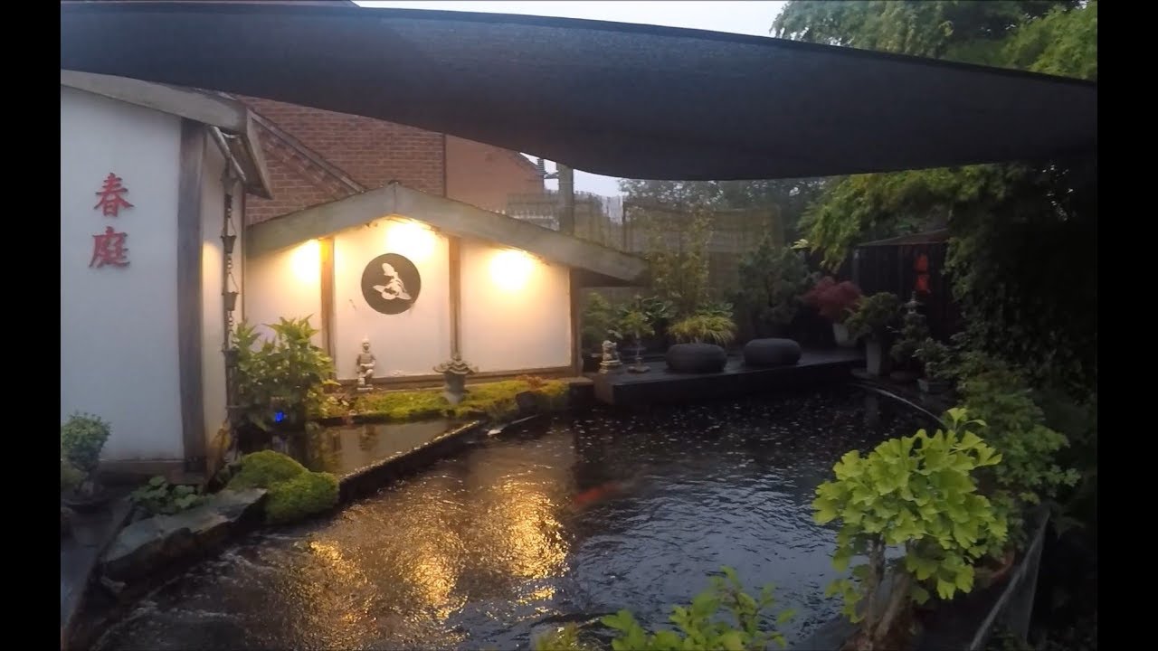 Koi Keeper Visited - Mark Wall's Pond and Garden