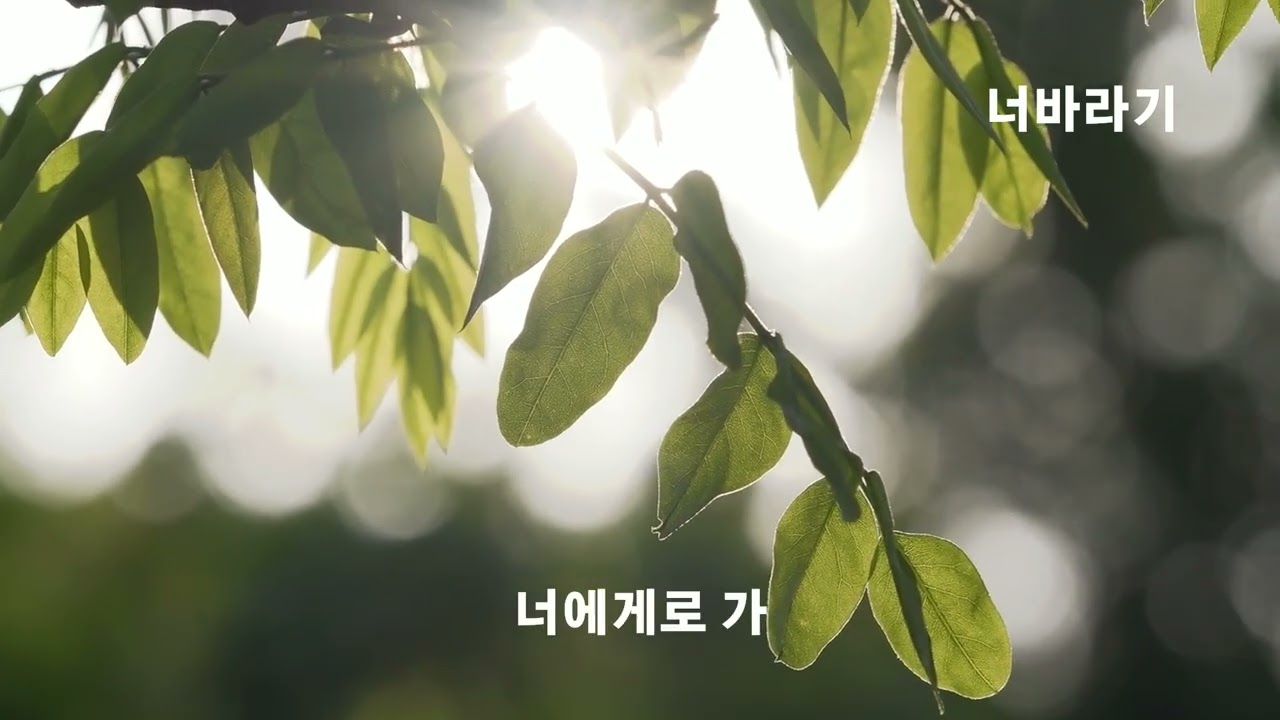 너바라기