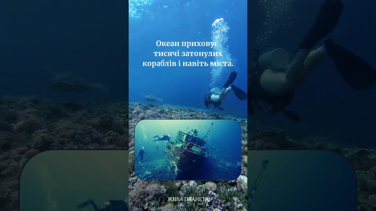 #OceanFacts #MarineWorld #OceanMysteries #SeaCreatures #OceanVibes #BluePlanet #EcoAwareness