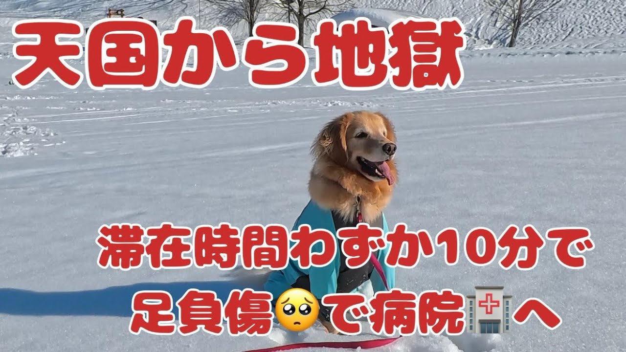 天国からの地獄！楽しい時間わずか10分足負傷し病院🏥へ
