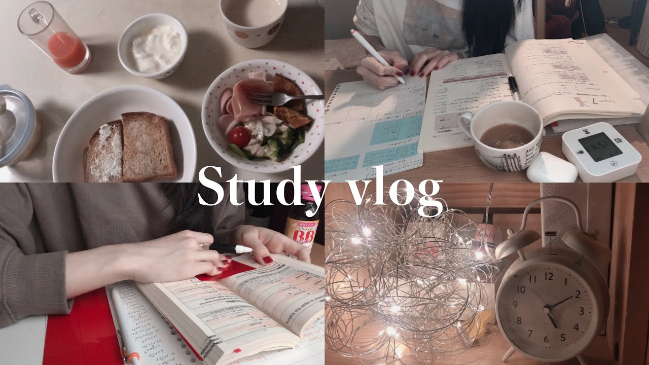 【study vlog】4時台・5時台に起きてオンライン授業を満喫する大学生の日常🍇｜Francfrancの座椅子