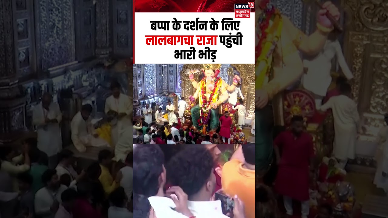 Lalbaugcha Raja Darshan Crowd Viral Video: बप्पा के दर्शन के लिए लालबागचा राजा पहुंची भारी भीड़
