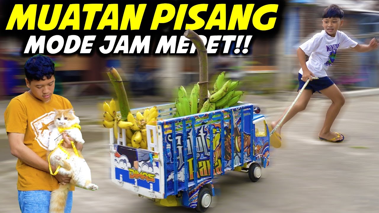 MUATAN PISANG MODE JAM MEPET!! DAN PERTAMAKALI KUCING DITDIM IKUT NAIK TRUK..