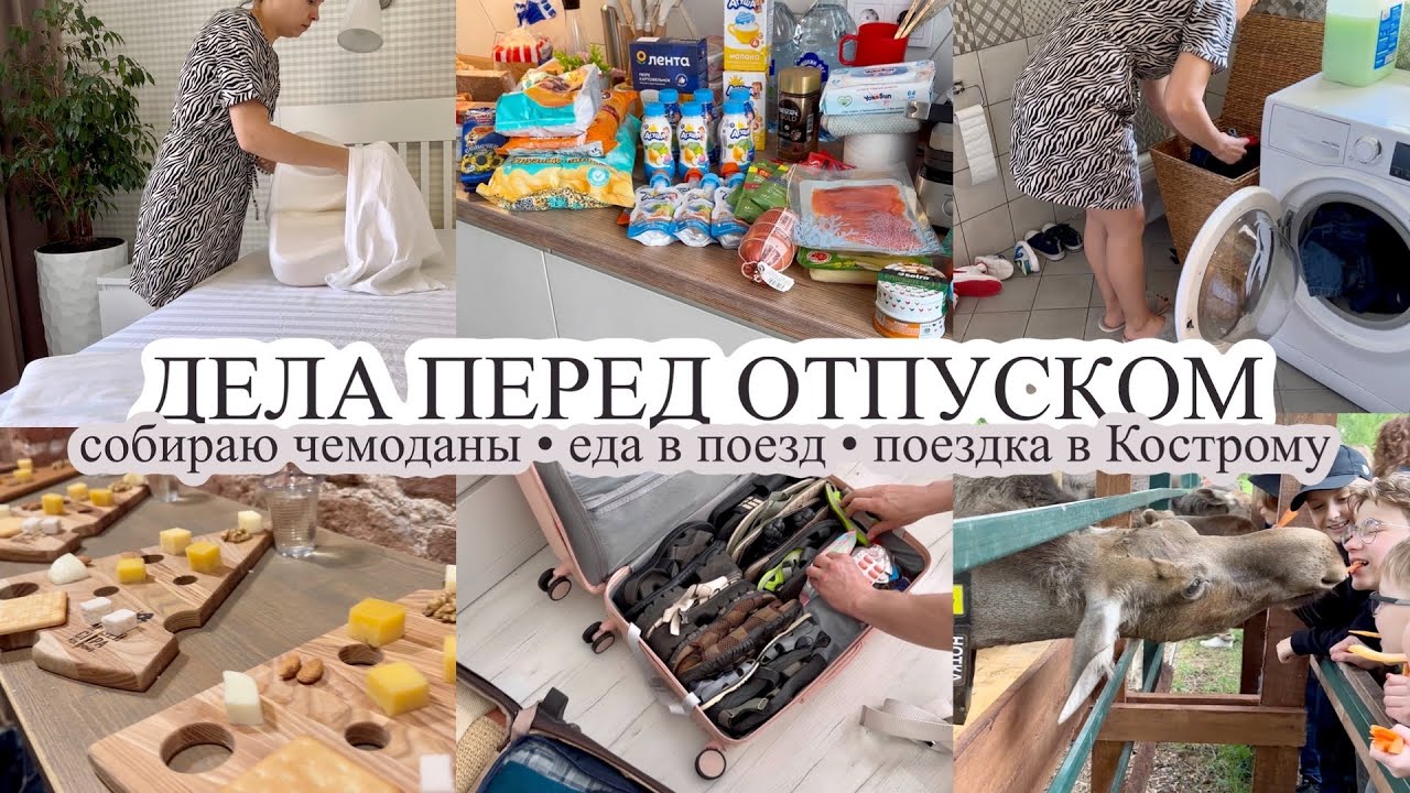 СОБИРАЮ ЧЕМОДАНЫ 🧳 Еда в поезд 🚆 ДЕЛА ПЕРЕД ОТПУСКОМ 🎯 Кострома 🧀