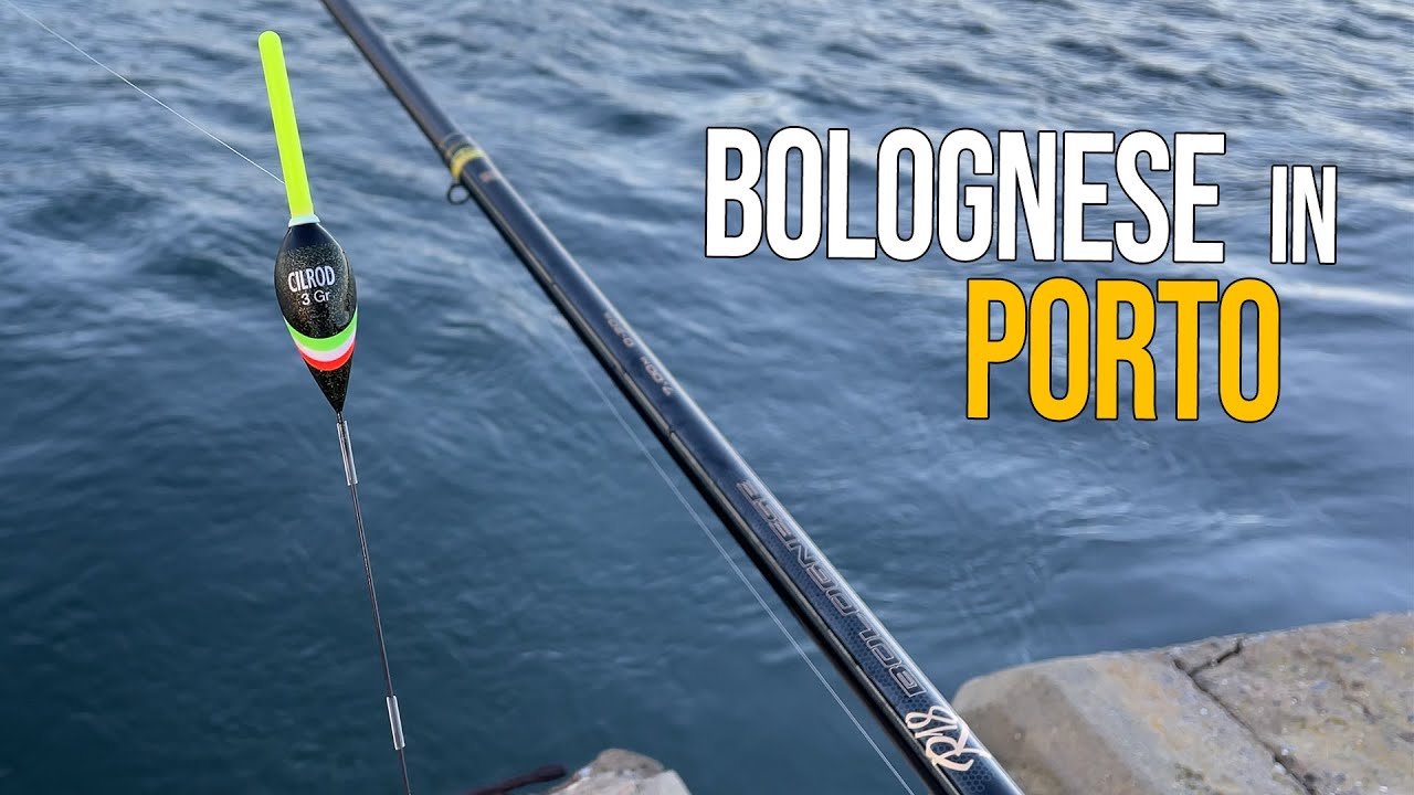Pesca Bolognese | Una Spigola dietro l'altra Pescando con i Bigattini in Corrente