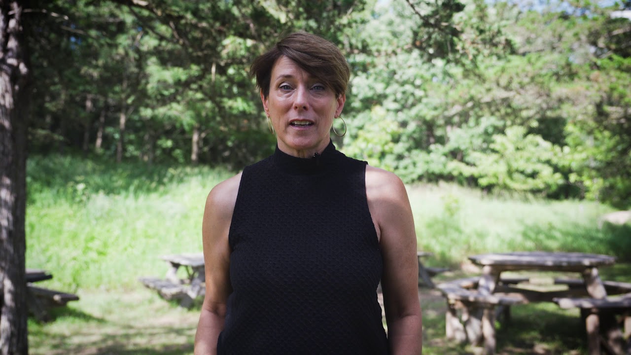 Wisconsin Stories: American Players Theatre
