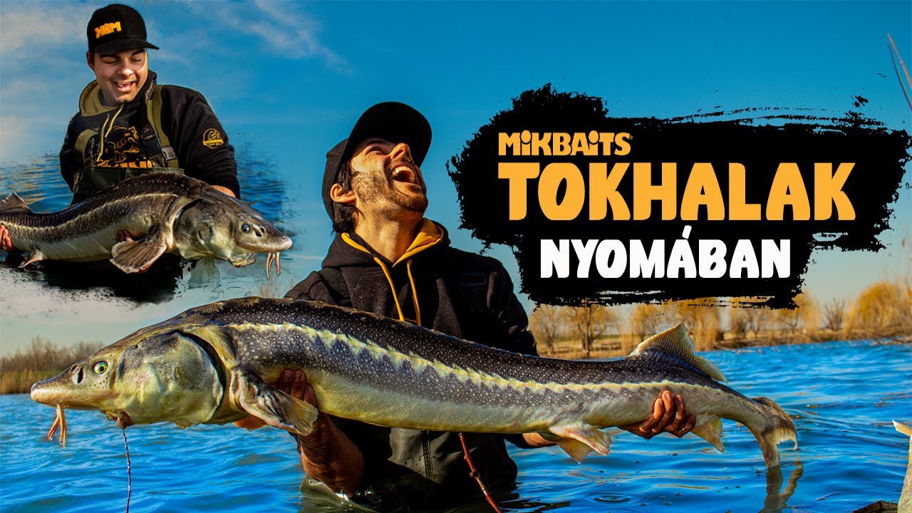 TOKHALAK NYOMÁBAN - TELJES FILM