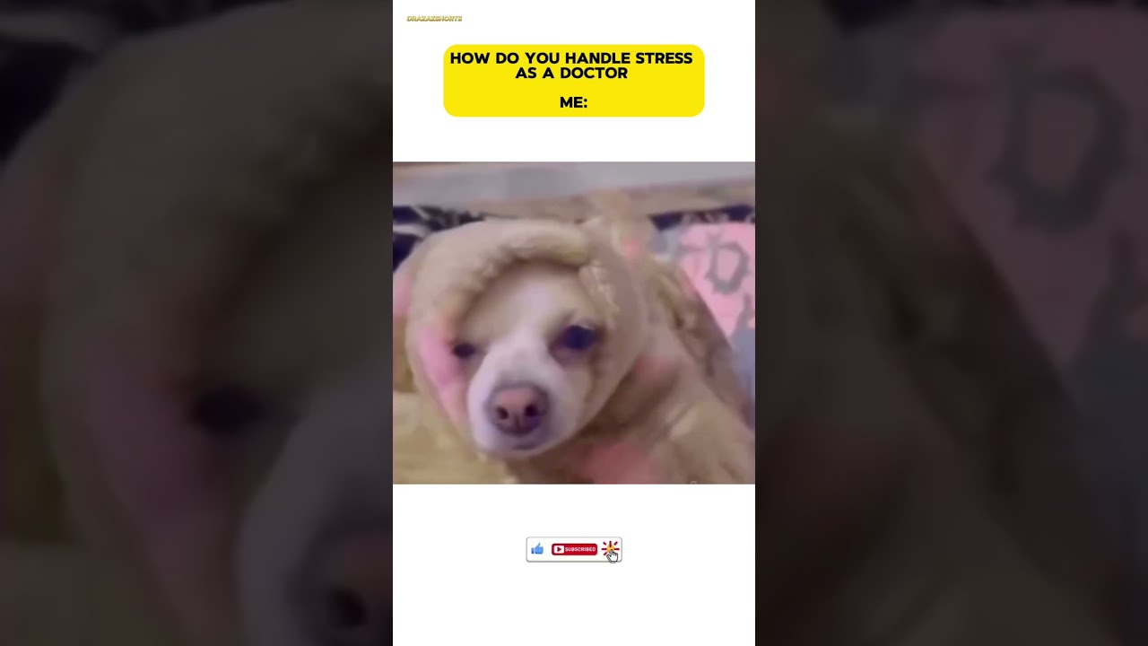 THIS IS HOW I DEAL WITH STRESS😹