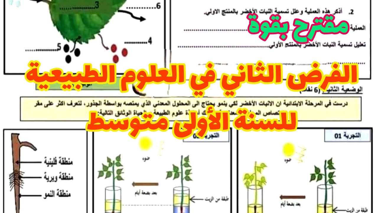الفرض الثاني في العلوم الطبيعية للسنة الأولى متوسط شامل
