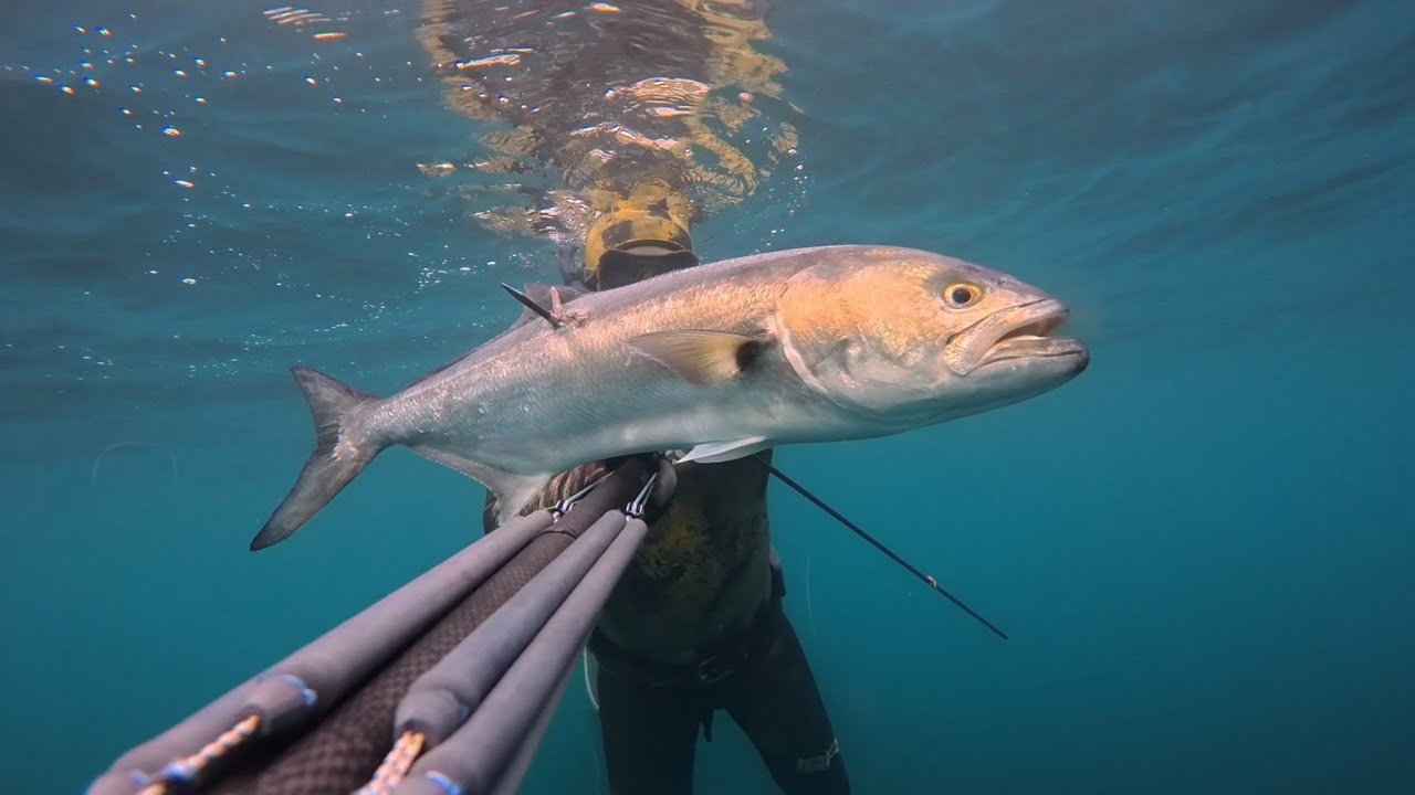Pescasub 5 KG Grosso Serra