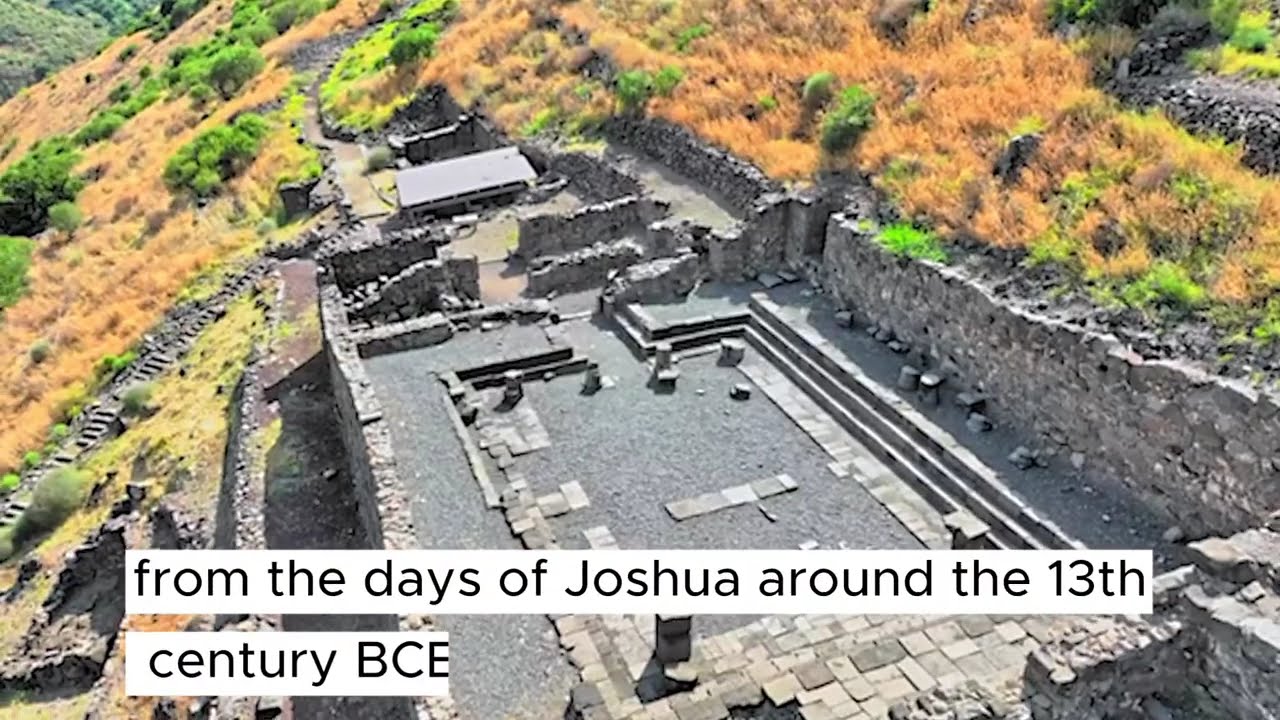 Gamla Nature Reserve - North Israeli Gem - Levy Israel Tours Experience