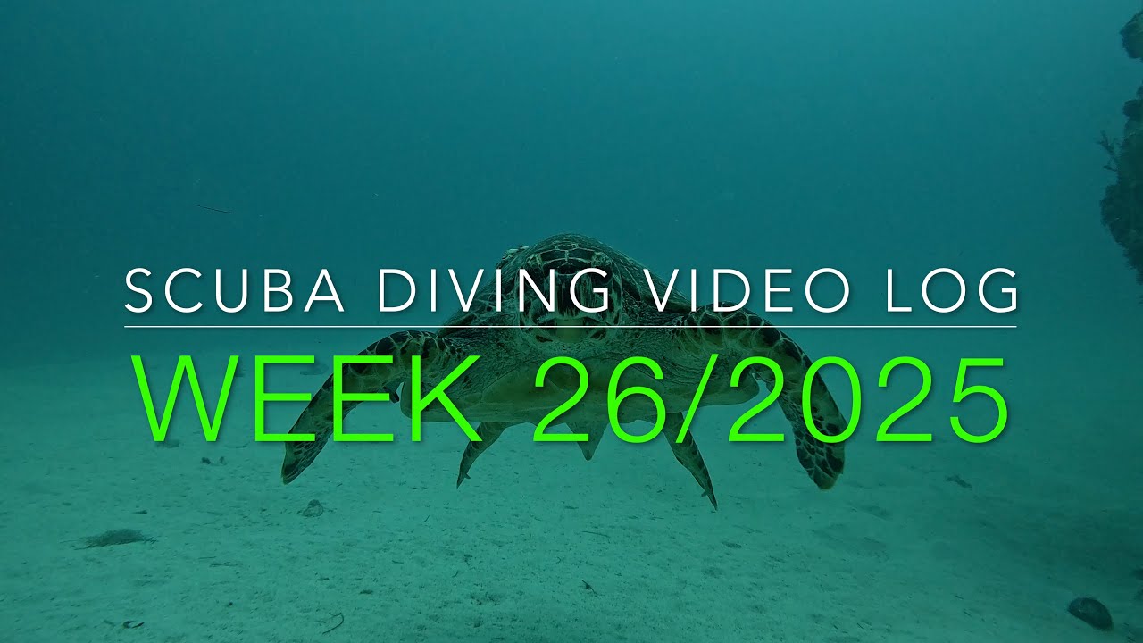 Scuba Diving St. Maarten Vlog - Week 26, 2025