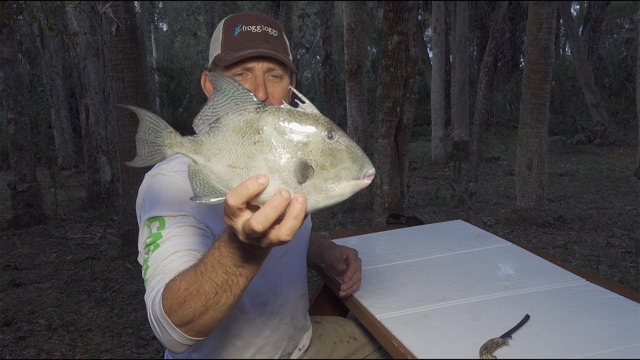 Tasty Triggerfish {Catch Clean Cook} Chamorro Style