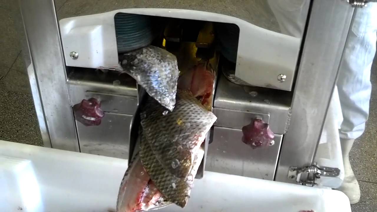 Filetadora de peixe - PEIXE BRASIL