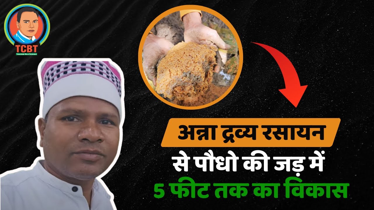 #tcbt अन्न द्रव्य रसायन Ann Dravya Rasayan Organic Formula Se Paudhon Ki Jad Mein 5 Feet lambi