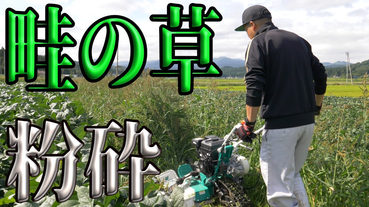 [草刈] ウイングモアレビュー