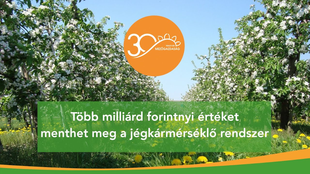 MMG - Kevesebb jég, kevesebb kár - Hogyan teljesít a  jégkármérséklő rendszer?