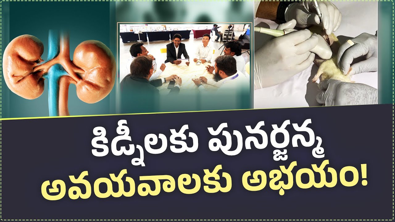 Kidney Revival Research || CCMB Scientists Dr. Shivarama Prasad Achieve Breakthrough || Idi Sangathi