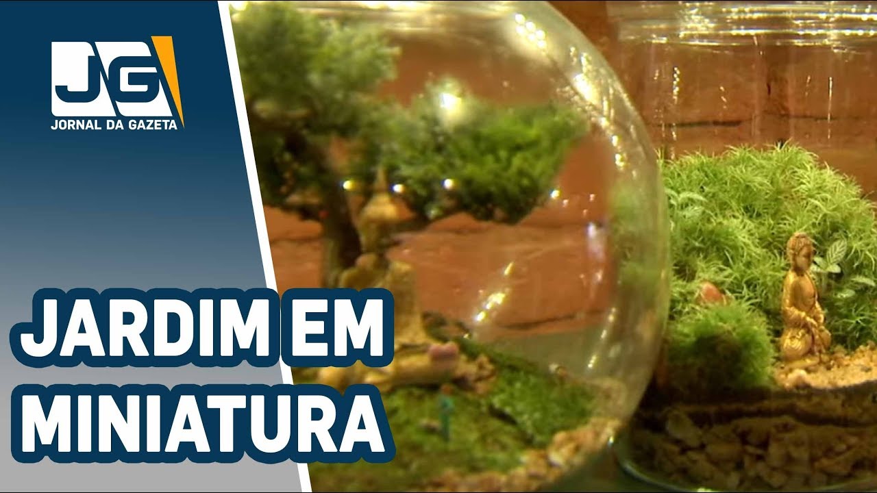 Terrário: jardim em miniatura num pote de vidro