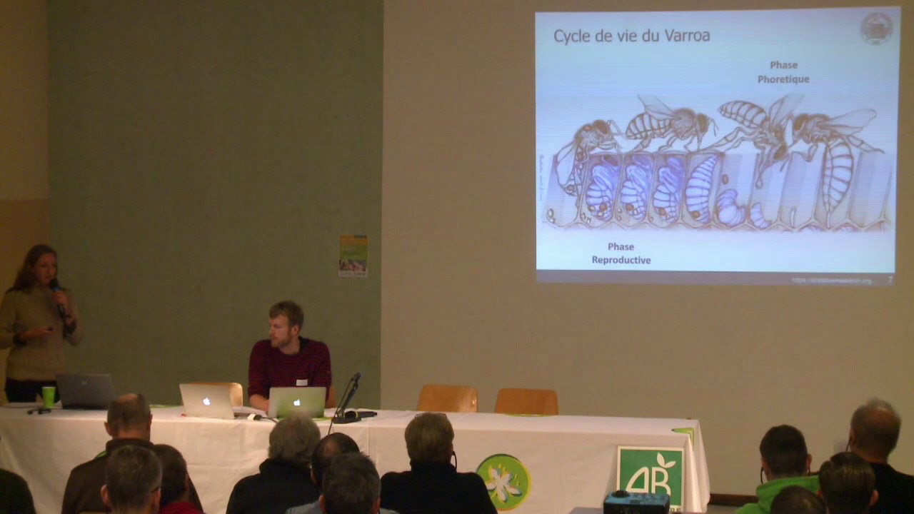 Elever ses abeilles en bio, c'est possible ! - Nouveautés sur la lutte contre le varroa