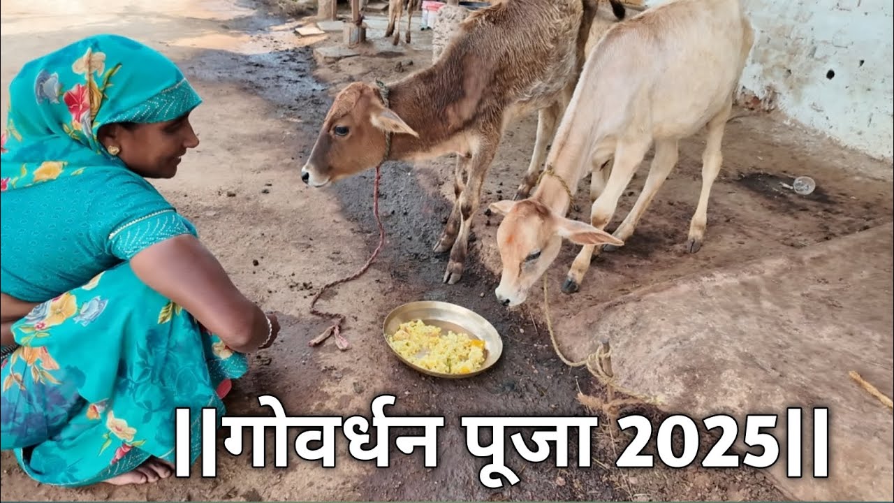 ||गोवर्धन पूजा 2025||