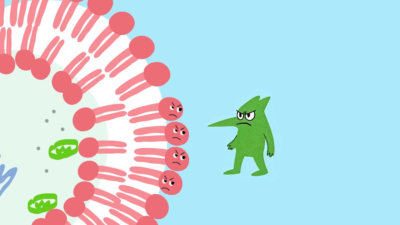 媽媽怕的「肥肉」，其實正在默默保護你？它是你身體的好朋友！