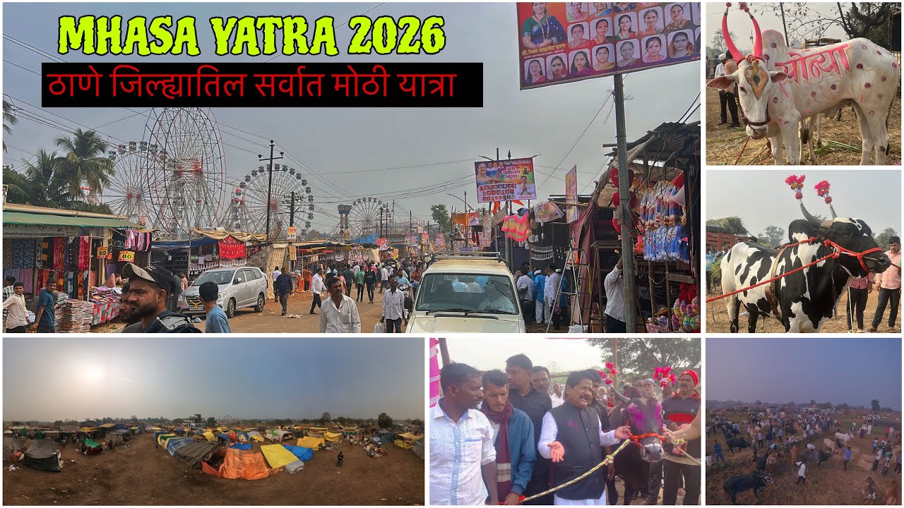 MHASA chi JATRA 2026 | महाराष्ट्रातिल सर्वात मोठा बैल बाजार | ठाणे जिल्ह्यात सर्वात मोठी यात्रा mela