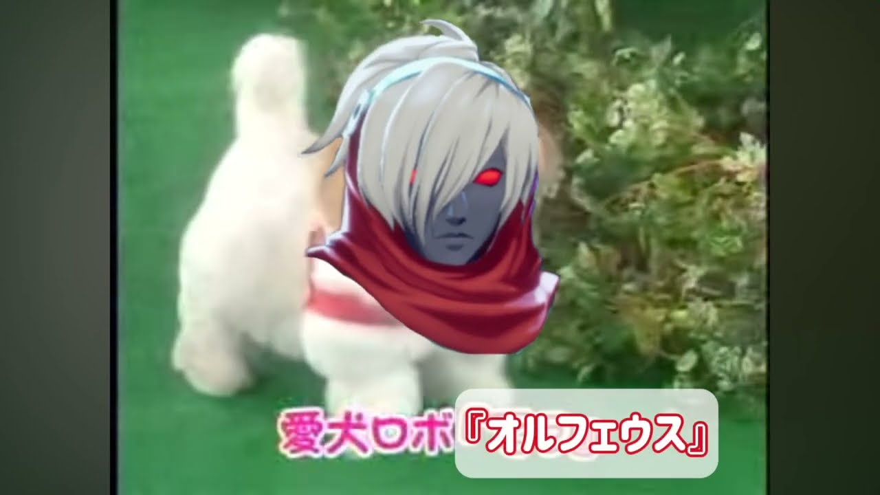 愛犬ロボ「オルフェウス」